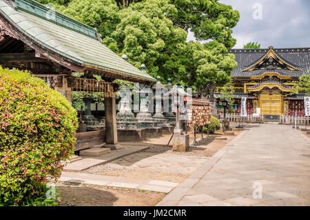 Toshogu Jinja Santuario presso il parco Ueno, Tokyo, Giappone, fu costruito e dedicato nel 1627 alla memoria di Ieyasu Tokugawa (1542 - 1616) Foto Stock