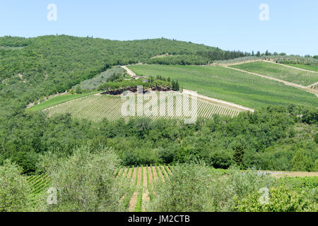 Paesaggio rurale di vigneti del Chianti in Toscana in Italia Foto Stock
