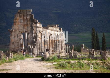 Le rovine romane della Basilica, Volubilis, Marocco Foto Stock