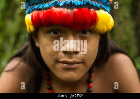 Un LONE explorer ha documentato un sciamano amazzonico di ricerca per trovare l'apprendista che la porterà in millenni di tradizione tramandata da lui di h Foto Stock