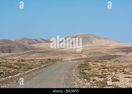 Semi-arido habitat casa di color crema, Courser Berthelot's Pipit e Houbara Bustard, Pianura Tindaya Fuerteventura Isole Canarie Foto Stock