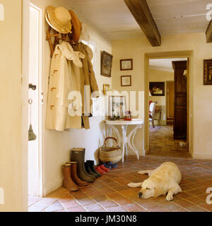 Cane dormire in stile rustico in corridoio Foto Stock