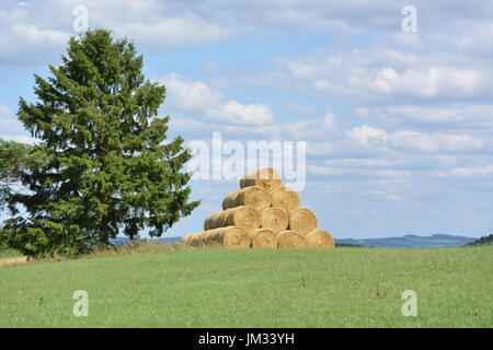Kall, Germania - 21 Luglio 2017 - Bella Eifel in Germania con fieno Foto Stock