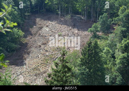 Kall, Germania - 21 Luglio 2017 - danni da vento nella foresta in tedesco Eifel Foto Stock