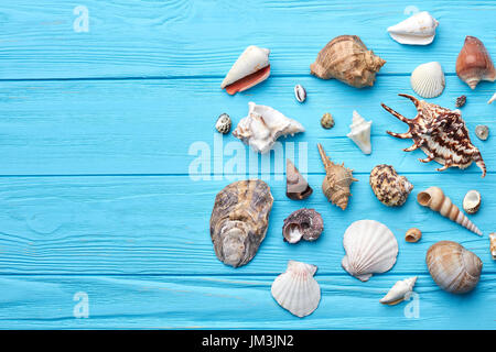 Composizione del mare esotici gusci. Marine oggetti naturali su sfondo colorato. Foto Stock