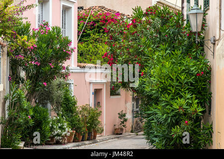 Angolo pittoresco del quartiere di Anafiotika, Atene, Attica, Grecia Foto Stock