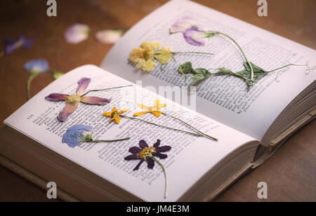 Premuto fiori secchi in un libro su un tavolo di legno. Regno Unito Foto Stock