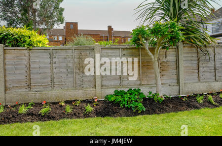 Letto di fiori in retro-giardino con un recinto dietro le piante. Inizio sumer shot con biancheria da letto di piccole piante e piante di fragola. Foto Stock