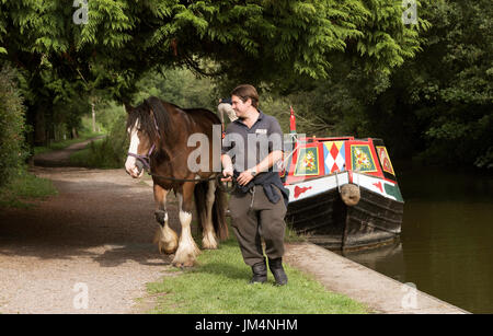 Cavallo e gita in barca sul Kennet & Avon Canal a Kintbury, Berkshire, Inghilterra UK Handler spostando il Clydesdale Cob lungo una strada alzaia. Foto Stock