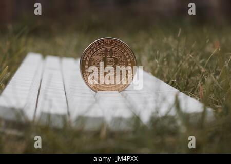 Cryptocurrency oro fisico bitcoin moneta sulla tastiera bianca in erba verde. Foto Stock