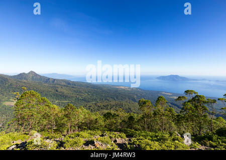 Vista del bordo della treeline prima bassa giacente scrubs prendere sul fianco del monte Egon, uno stratovulcano, in Flores, Indonesia. Foto Stock