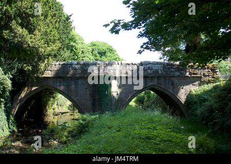 Arcuata di ponte di pietra sul fiume, Fountains Abbey, North Yorkshire, Regno Unito Foto Stock