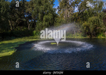 Fontana, fontana, uno stagno, un giardino paesaggistico, Far Niente Winery, Oakville, la Valle di Napa NAPA County, California Foto Stock