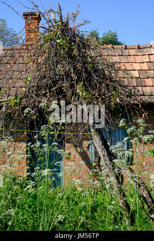 Cucina estiva dependance nel giardino di un tipico villaggio rurale casa in Zala county Ungheria Foto Stock