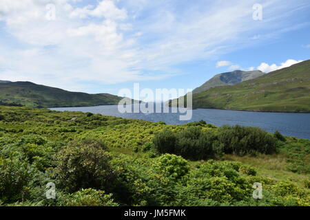 Vista del porto di Killary dalla strada N59 nella contea di Galway, Irlanda Foto Stock