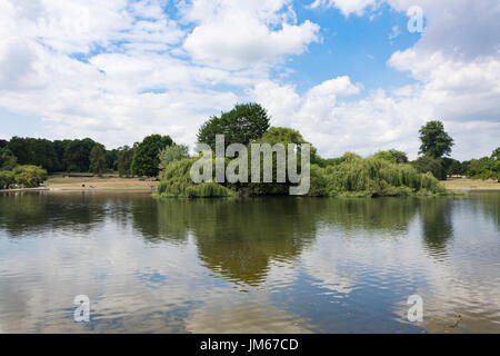 Lago e l'Isola Heron in Verulamium Park, St.Albans, Hertfordshire, England, Regno Unito Foto Stock