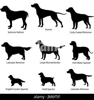 Icona del cane set. bracchi illustrazione vettoriale. silhouette raccolta di gundog. Foto Stock