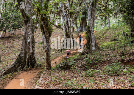 Gli escursionisti sul sentiero per SALTO DE CABURNI trova il Topes de Collantes nelle montagne della Sierra del Escambray - CUBA Foto Stock