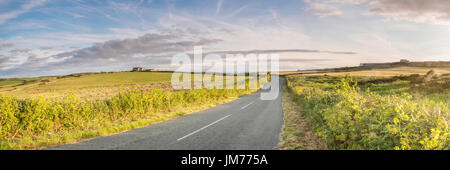 Ampio spazio aperto attraverso il bellissimo paesaggio britannico con un'atmosfera di libertà ispiratrice e mozzafiato. Campo aperto e distesa di cielo blu. Foto Stock
