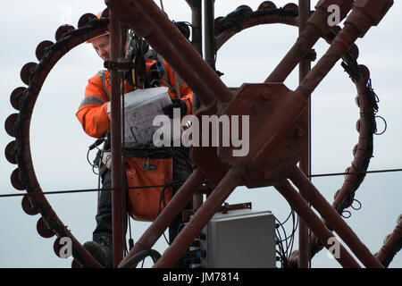 Corda irata tecnico di accesso sta conducendo la manutenzione per le luminarie sulla torre di Blackpool. Credito: lee ramsden / alamy Foto Stock