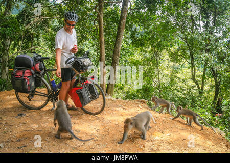 Ciclista maschio ad alimentare il gruppo di scimmie durante un ciclo touring viaggio a Bali, in Indonesia Foto Stock