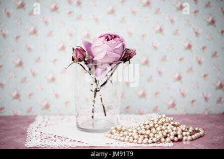 Fotografia a colori, close up di Rosa Geoff Hamilton. Foto Stock