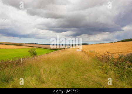 Tempestoso cieli di yorkshire wolds il paesaggio agricolo con le colline e lungo le siepi vicino bosco in estate Foto Stock