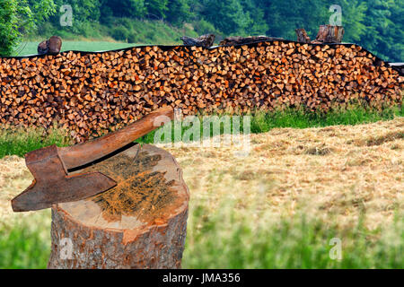 Impilati lungo di legna da ardere stock per l'inverno di trinciatura di legno con ax su un grande prato in campagna. Foto Stock