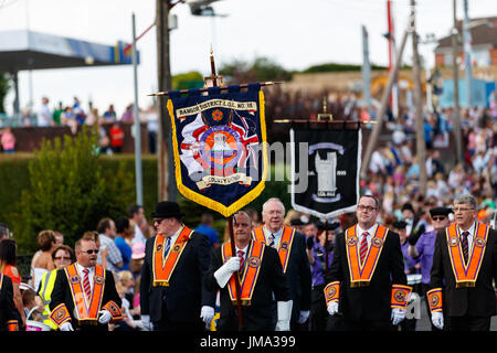 Orange Celebrazioni in Bangor County Down Foto Stock