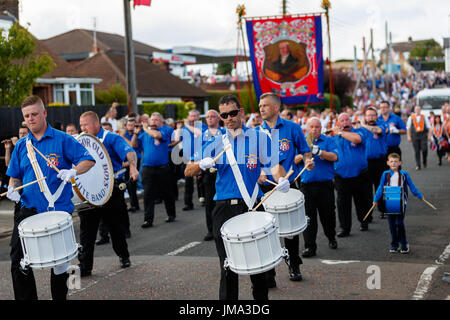 Orange Celebrazioni in Bangor County Down Foto Stock
