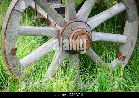 Vecchio presentano con il carro di ruota su un prato verde. Carrello ruota di erba di close-up. Foto Stock