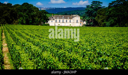 Chateau de Meursault vigna vicino a Beaune, Borgogna, in Francia in estate Foto Stock