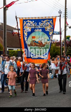 Orange Celebrazioni in Bangor County Down Foto Stock