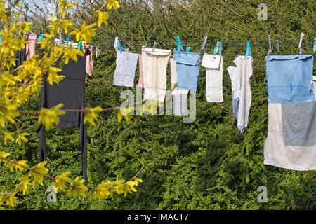 Colore luminoso asciugamani ancorata ad una linea di lavaggio asciugatura contro un albero sfocata sullo sfondo Foto Stock