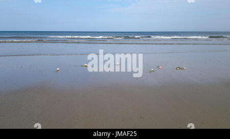 Fiori sulla spiaggia Foto Stock