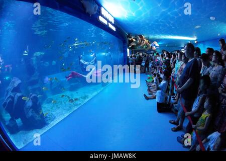 Lianyungang, cinese della provincia di Jiangsu. 27 Luglio, 2017. I genitori portano i loro figli a visitare un 'mermaid show' Liandao al mondo subacqueo di Lianyungang City, est cinese della provincia di Jiangsu, 27 luglio 2017. Un sacco di bambini venuti al Liandao Mondo Sottomarino per arricchire la loro vacanza e migliorare la loro conoscenza. Credito: Zhu Huanan/Xinhua/Alamy Live News Foto Stock