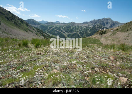 Vista sul Col de la Lombarde nelle Alpi francesi in estate Foto Stock