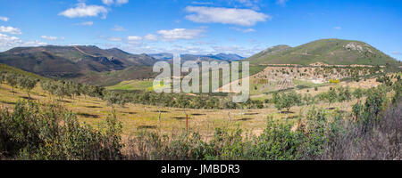 Olivi agricoltura sostenibile a Villuercas geopark, Caceres, Estremadura, Spagna. Vista panoramica Foto Stock