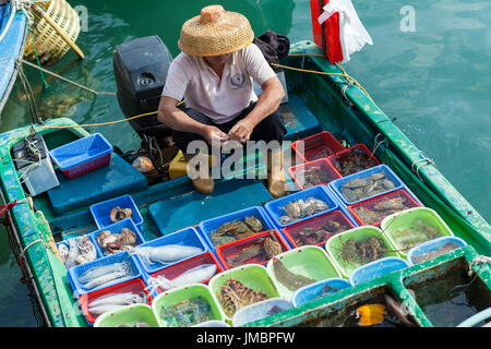 HONG KONG - Gennaio 10, 2015: barca da pesca a Sai Kung pier insolita di vendita assortimento di pesce vivo. Hong Kong, Cina Foto Stock