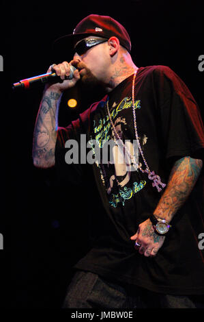 Skinhead rob aston esegue sul palco durante il fall out boy Honda Civic Tour spettacolo finale svoltasi honda center anaheim,ca Foto Stock