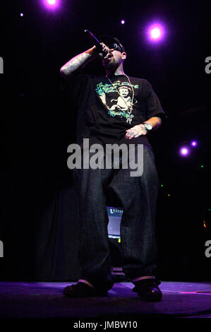 Skinhead rob aston esegue sul palco durante il fall out boy Honda Civic Tour spettacolo finale svoltasi honda center anaheim,ca Foto Stock