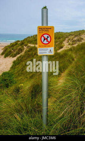 I cani sono vietati su questa spiaggia - segno del consiglio su Sennen Cove, Cornwall Beach, England, Regno Unito Foto Stock