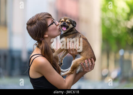 Giovane donna tenendo un piccolo chihuahua-pekinese ibridi a mano Foto Stock