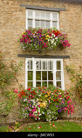 Spettacolare esibizione di fiori, inc rosa, rosso, viola e bianco nelle petunie e di rosso e di giallo begonie fuoriuscita da scatole di finestra contro il muro di pietra Foto Stock