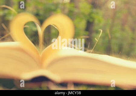Le pagine del libro aperto sono impilati in forma di un cuore Foto Stock