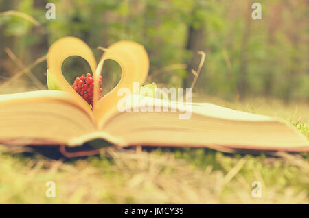 Le pagine del libro aperto sono impilati in forma di un cuore Foto Stock