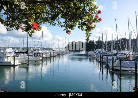 Estate a colombe Bay barca Marina Kerikeri, Northland, Nuova Zelanda, NZ, con struttura ad albero pohutukawa e fiori Foto Stock