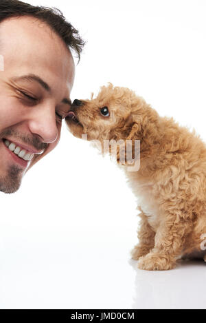 Cucciolo di leccare uomo faccia isolati su sfondo bianco. Barboncino cucciolo leccare testa di uomo Foto Stock
