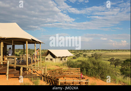 La lobby, camino e uno dei stilted tende della Polentswa Camp sul crinale di una duna di sabbia. Durante la stagione delle piogge con dintorni verdi. Deserto Kalahari, Kgalagadi Parco transfrontaliero, il Botswana. Foto Stock