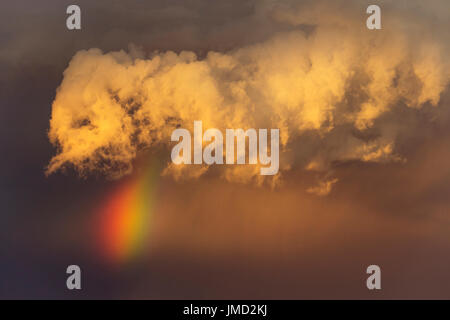 Sera temporale con Cumulonimbus cloud e rainbow con la coda al di sopra di una duna di sabbia. Durante la stagione delle piogge. Deserto Kalahari, Kgalagadi Parco transfrontaliero, Sud Africa. Foto Stock